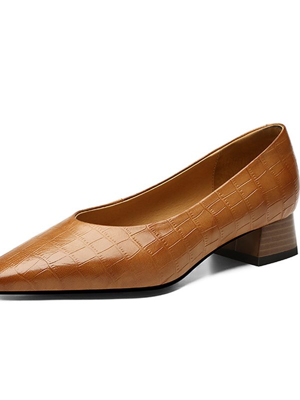 Pointed Toe Thick Low Heel Shoes Women